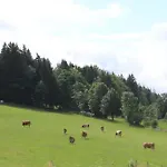 شقة Kagerbauer